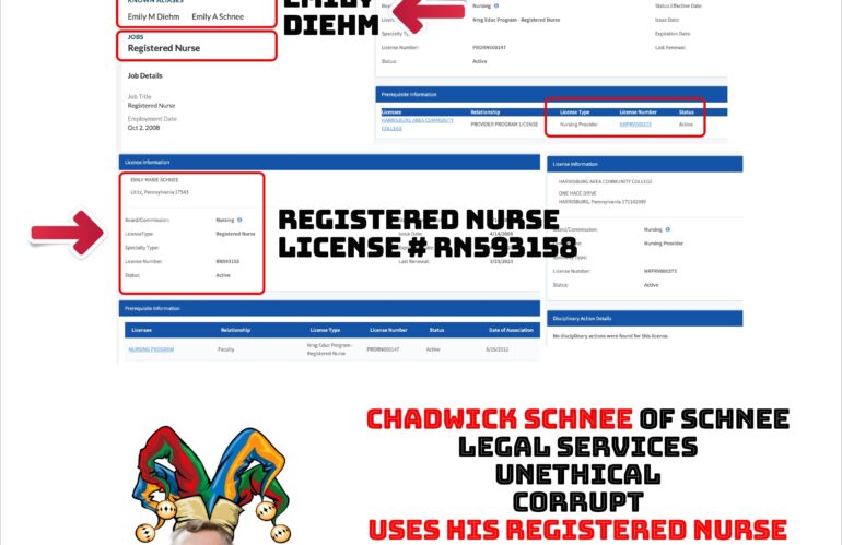 Vicious Internet Troll, Registered Nurse & Schnee Legal Services’ Wife Entangled in Appalling HIPAA Breach and Impersonating a Doctor – A Felony! The Deplorable Pair Unmasked!